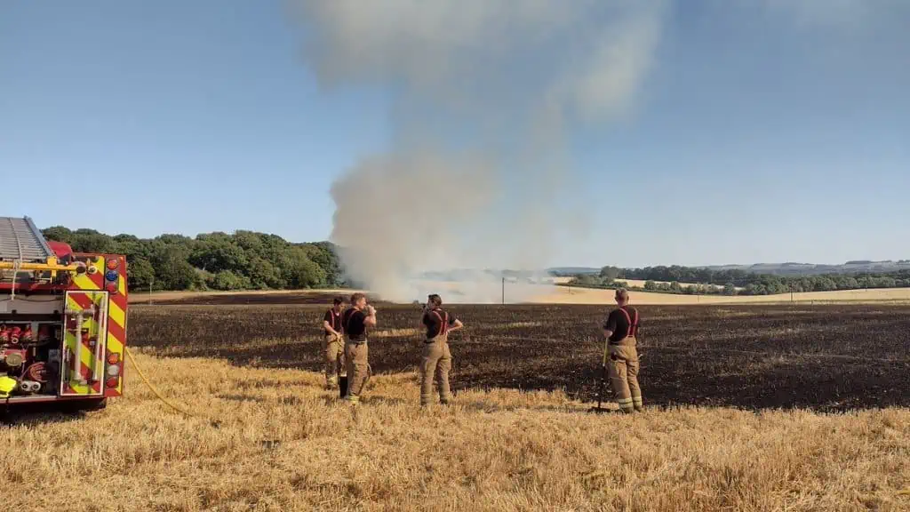 A fire in a field with four firefighters 