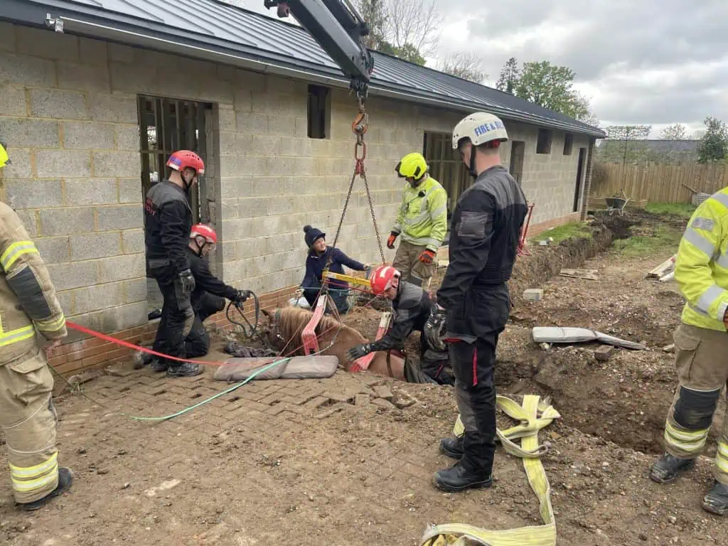 Firefighters use equipment to lift the pony out of a trench