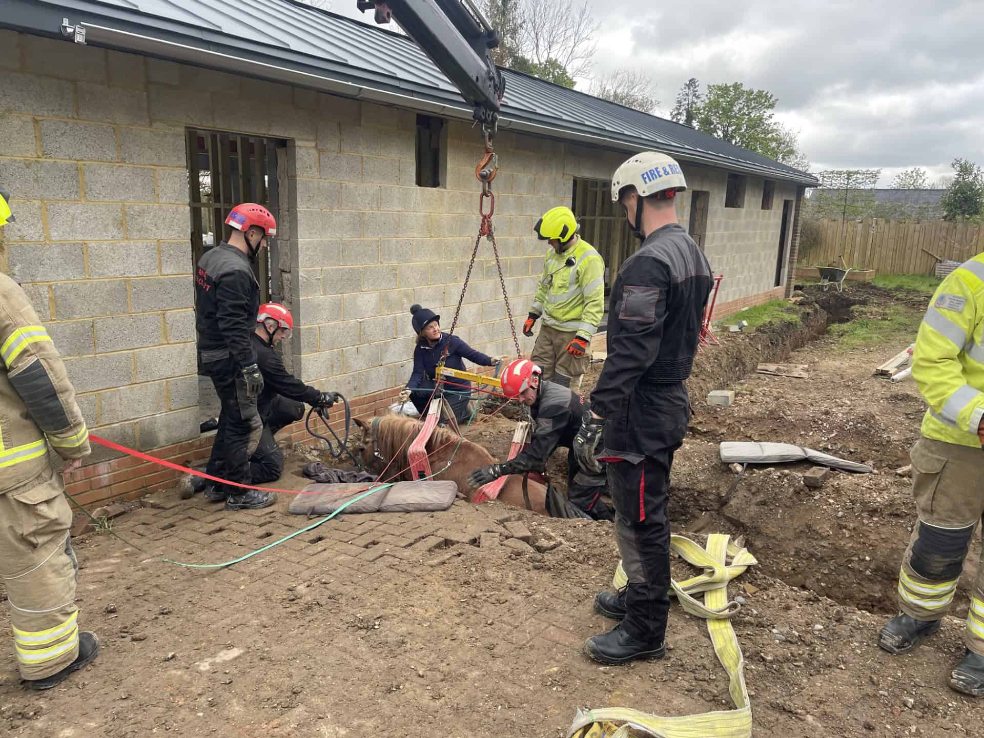 Firefighters Rescue Trapped Pony near Marlow | Royal Berkshire Fire and ...