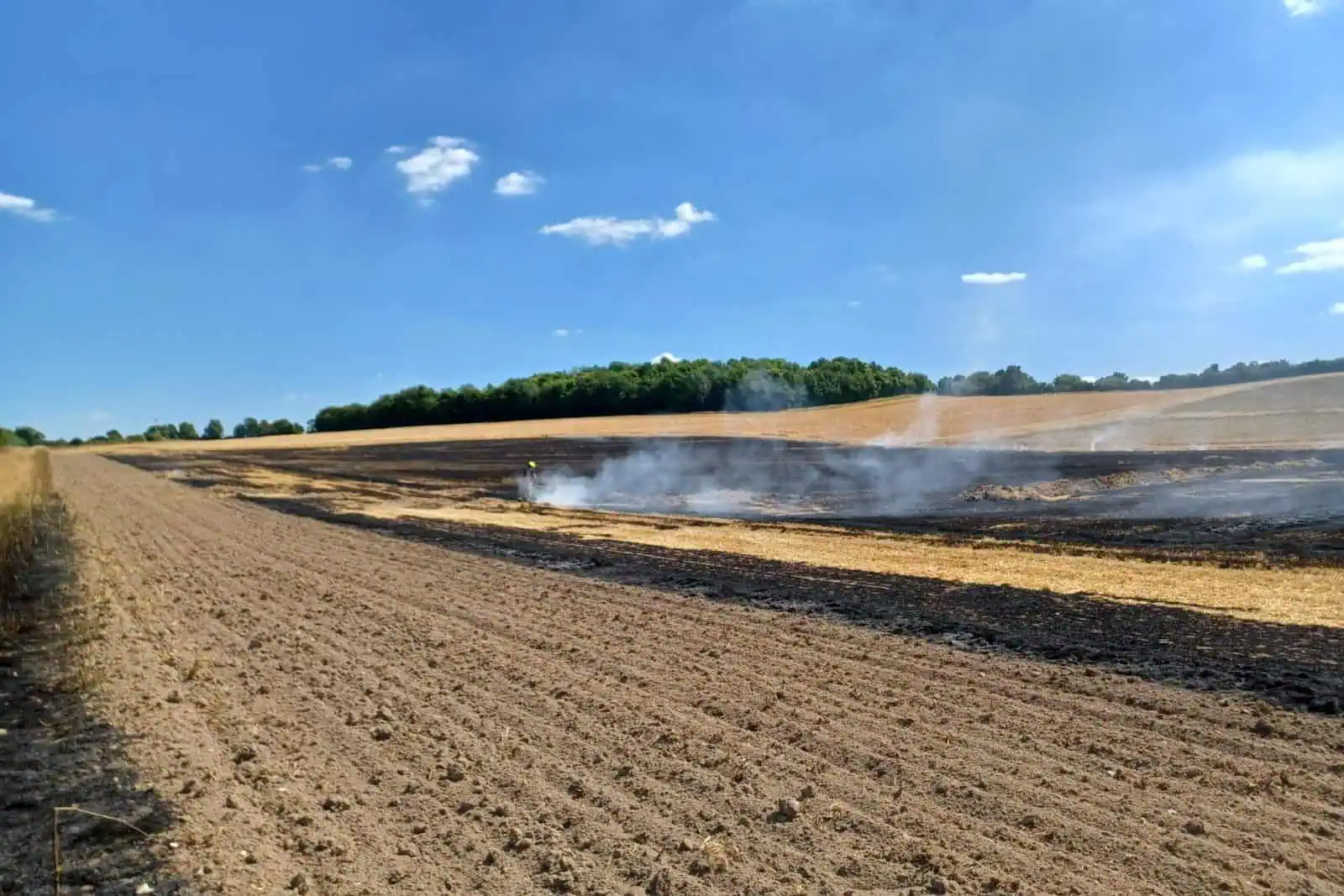 A field on fire. A firefighter is using a beater to extinguish it