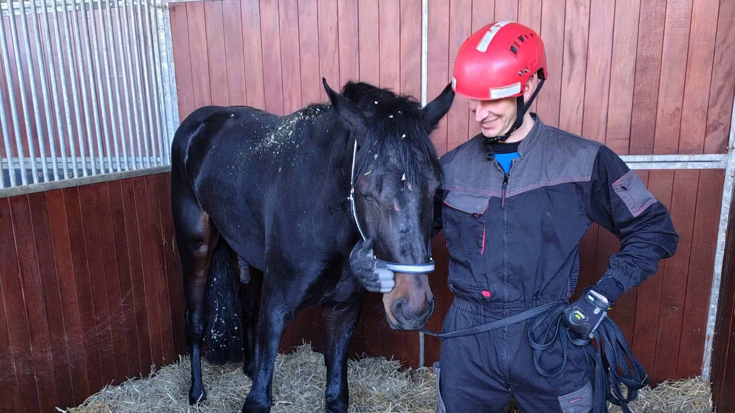 A firefighter with a red helmet and uniform standing next to a black horse in a stable.